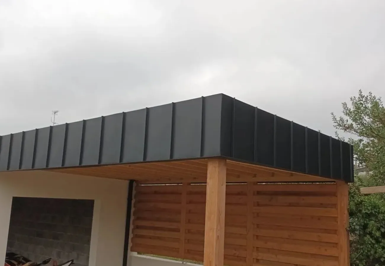 demoussage toiture landevant