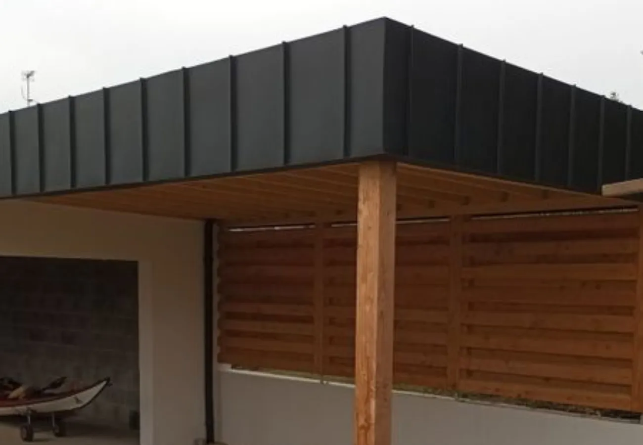 demoussage toiture vannes