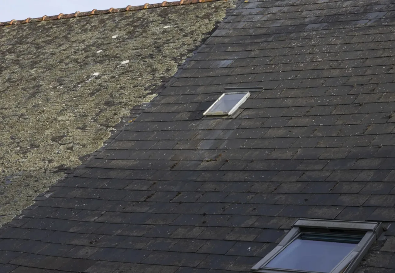 nettoyage toiture vannes