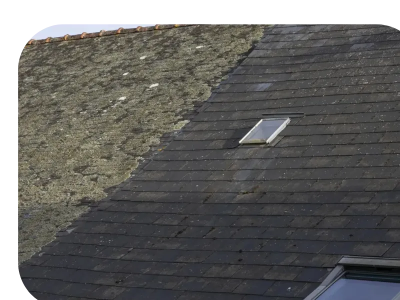 renovation de toiture auray